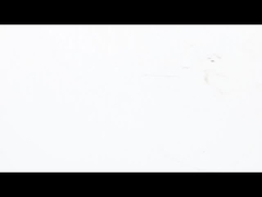 NEMA 23 প্যানকেক স্টেপার মোটর আল্ট্রা - পাতলা উচ্চ - টর্ক পারফরম্যান্স