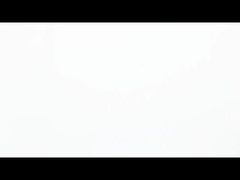 শিল্প অটোমেশনের জন্য উন্নত টর্ক সহ উচ্চ-নির্ভুল NEMA 11 স্টেপার মোটর